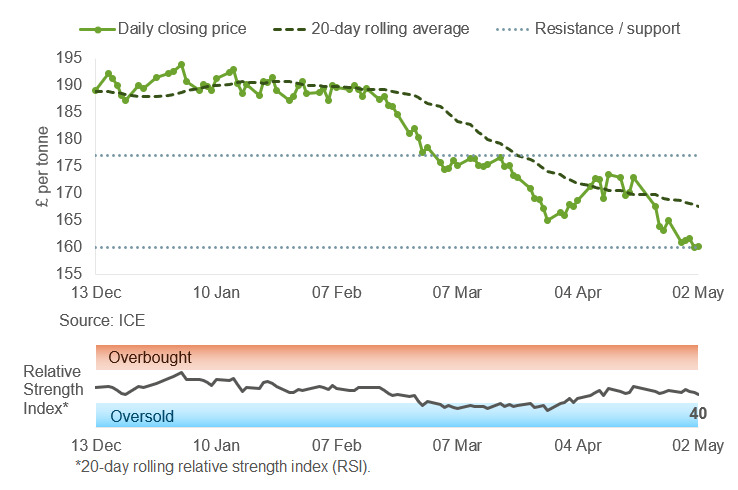 Chart from 06 May 2025 market report showing May-25 UK feed wheat futures prices
